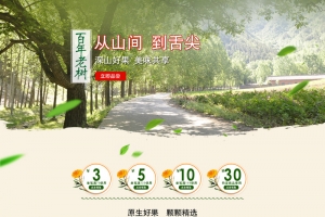 绿色风景坚果食品店铺首页背景