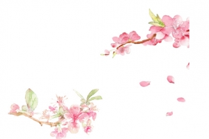 手绘桃花
