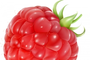 手绘水果卡通素材 桑葚