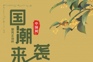 中国风国潮文化海报