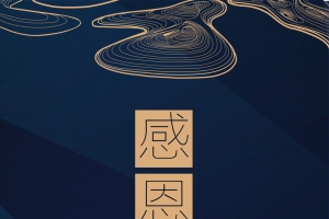 质感花纹感恩促销海报背景模板