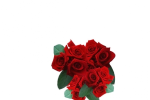 玫瑰花束