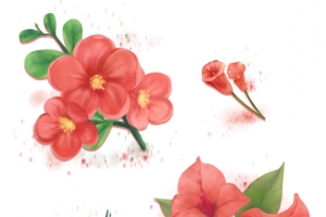 国潮 中国风 花朵