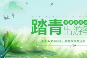 踏青春季出游