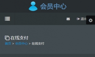 在线支付手机端灰色