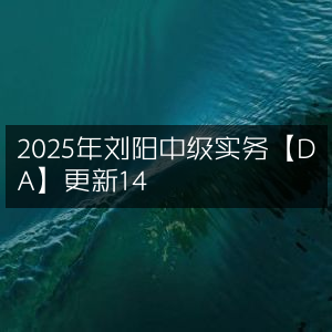 2025年刘阳中级实务DA版更新至14章