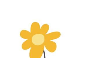 花朵