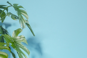 蓝色梦幻可爱卡通背景