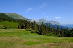 山脉 树木 草地 草坪 风景 4k壁纸 3840x2160