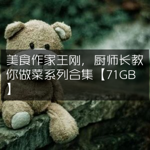 王刚美食作家·厨师长专属做菜教程合集【71GB】