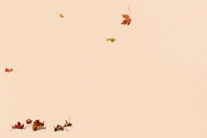 秋装 banner 女装