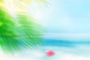 缤纷夏日清爽背景