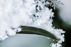 小雪文艺冬季景色背景
