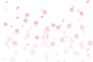 漂浮的粉色的的花瓣