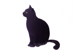 高贵黑色猫咪