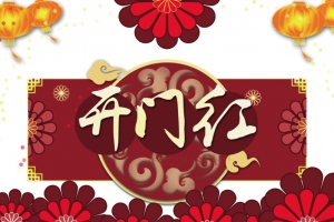 开门红灯笼祥云剪纸花朵