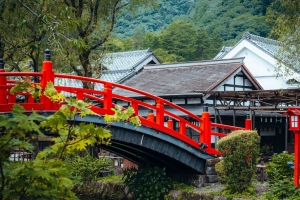 桥梁 河流 房屋 屋顶 树 4k壁纸 3840x2160