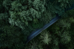 树木森林道路俯视图 4K高清壁纸3840x2160免费下载