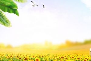 黄色居家豆浆机banner