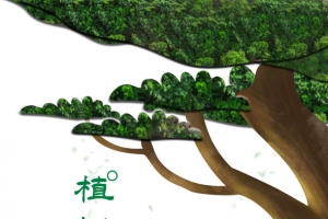 春天植树节树木青草石头