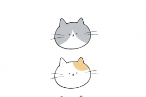 小猫头像