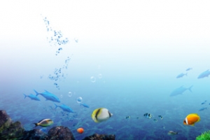 海底