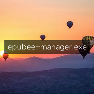 EPUBee Manager可执行文件下载