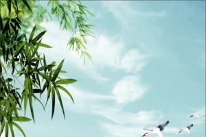 展板模板