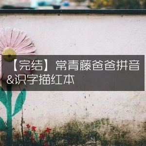 【完结】常青藤爸爸拼音识字描红宝典