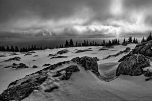 岩石 树木 雪 冬天 风景 黑白 4k壁纸 3840x2160