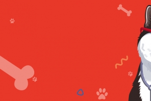宠物美容卡通童趣手绘banner