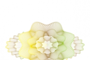防伪花纹