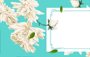 清新花朵banner