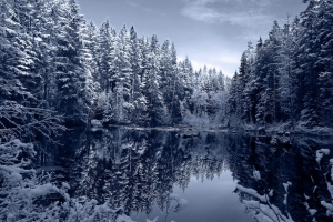 湖泊 森林 雪 冬天 风景 美丽的 4k壁纸 3840x2160