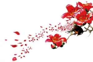 梅花