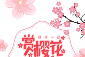 赏樱花春暖花开魅力三月