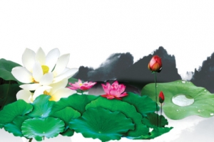 创意中国风莲花池素材