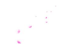 红色彩绘花瓣