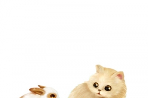 猫和小兔的对视