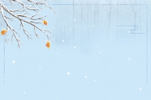 立冬雪景大气雪松蓝色banner