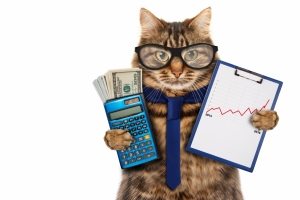 猫 领带 眼镜 金钱 美元 计算器 猫会计4K壁纸