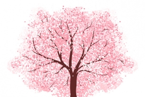 樱花树