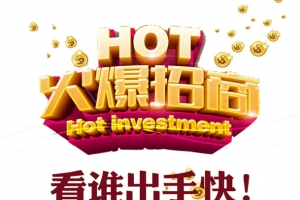 金色系火爆招商宣传海报