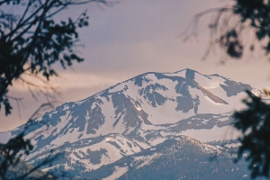 山脉 雾 树枝 峰 雪 桥港 美国 4k壁纸 3840x2160