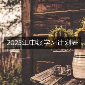 2025年中级学习规划表