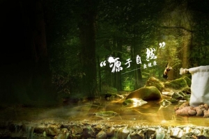 三七头banner