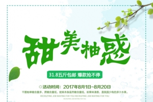 柚子促销海报