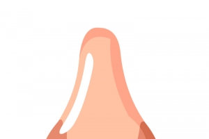 手绘器官人体五官鼻子肌肉结构高清PNG透明免扣设计素材免费下载