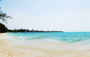 海洋清凉banner背景