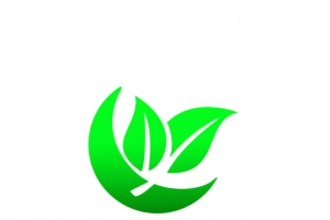 logo设计 logo素材  边框 花纹